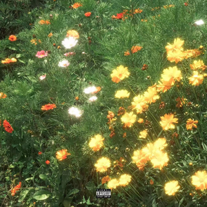 杨幂A片一二三区视频
