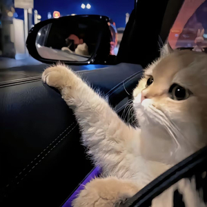 杨幂A片一二三区视频
