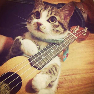 杨幂A片一二三区视频
